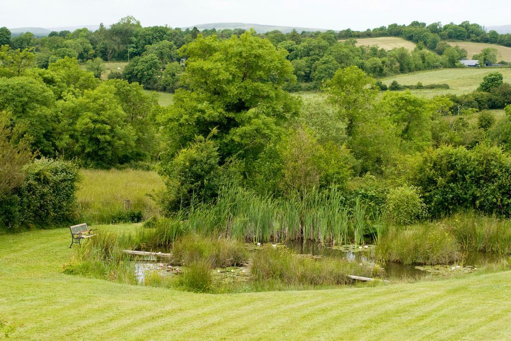 Lake Rise Holiday Home At Kilmaddaroe Carrick-on-Shannon Quarto foto